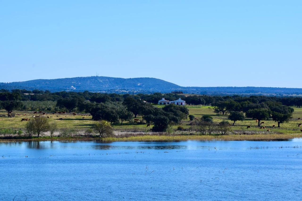 Herdade Da Burquilheira Family Retreat Alcáçovas Esterno foto