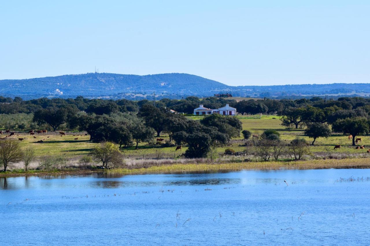 Herdade Da Burquilheira Family Retreat Alcáçovas Esterno foto