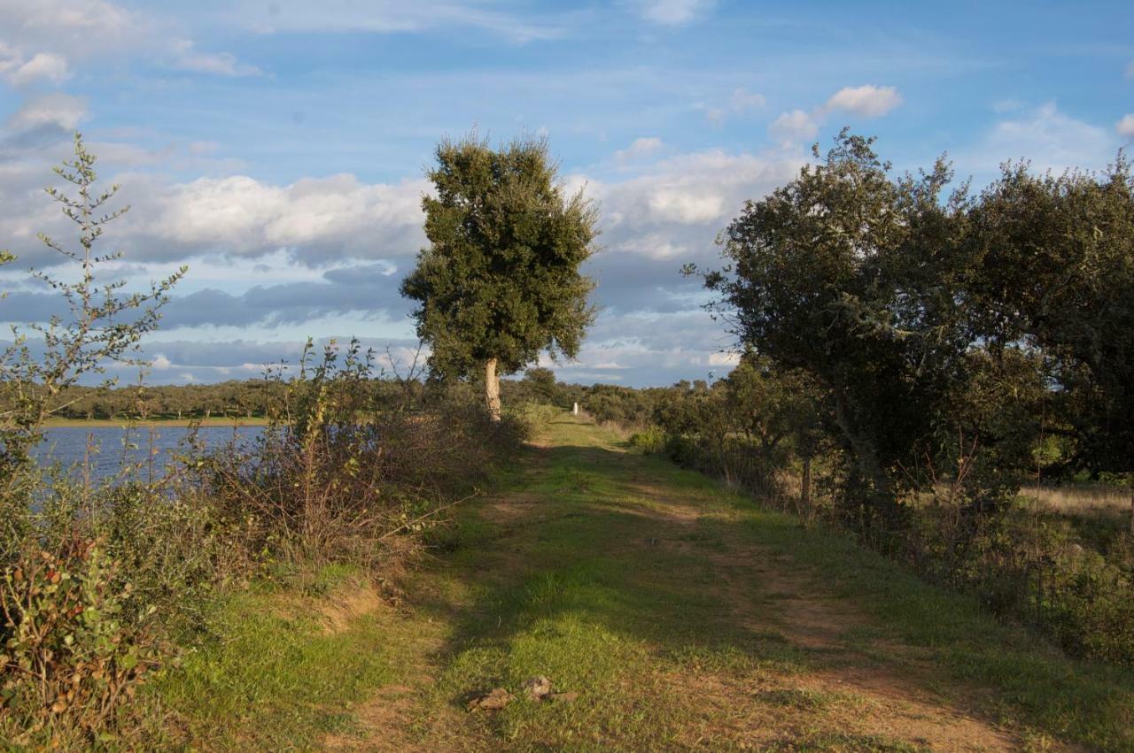 Herdade Da Burquilheira Family Retreat Alcáçovas Esterno foto